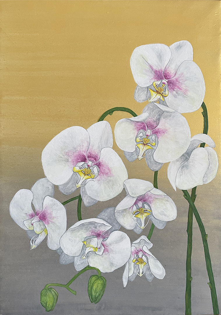 『胡蝶蘭』宇田川千裕 B4