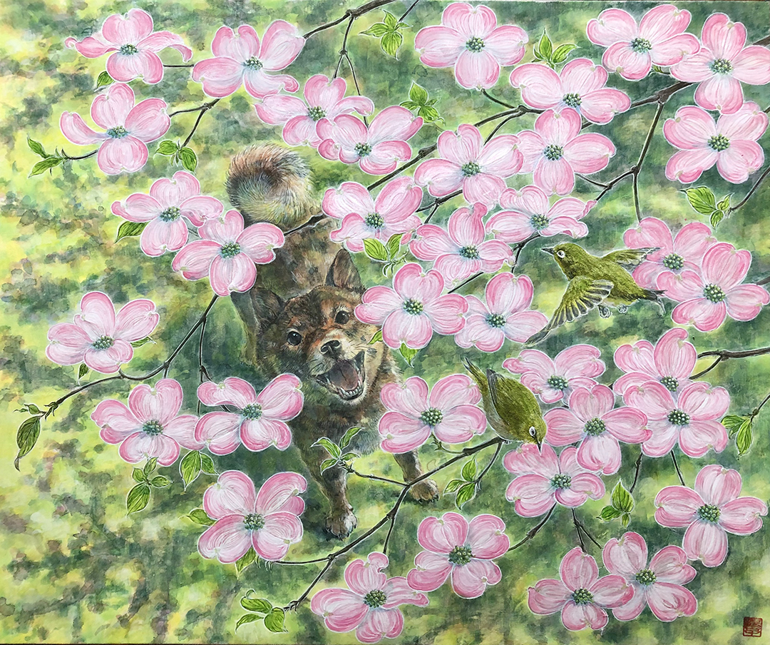 『ハナミズキ』藤咲揚子 F8