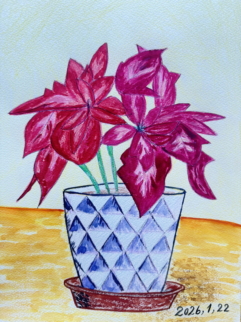 『華やかな赤色』もりようこ 352mm×251mm