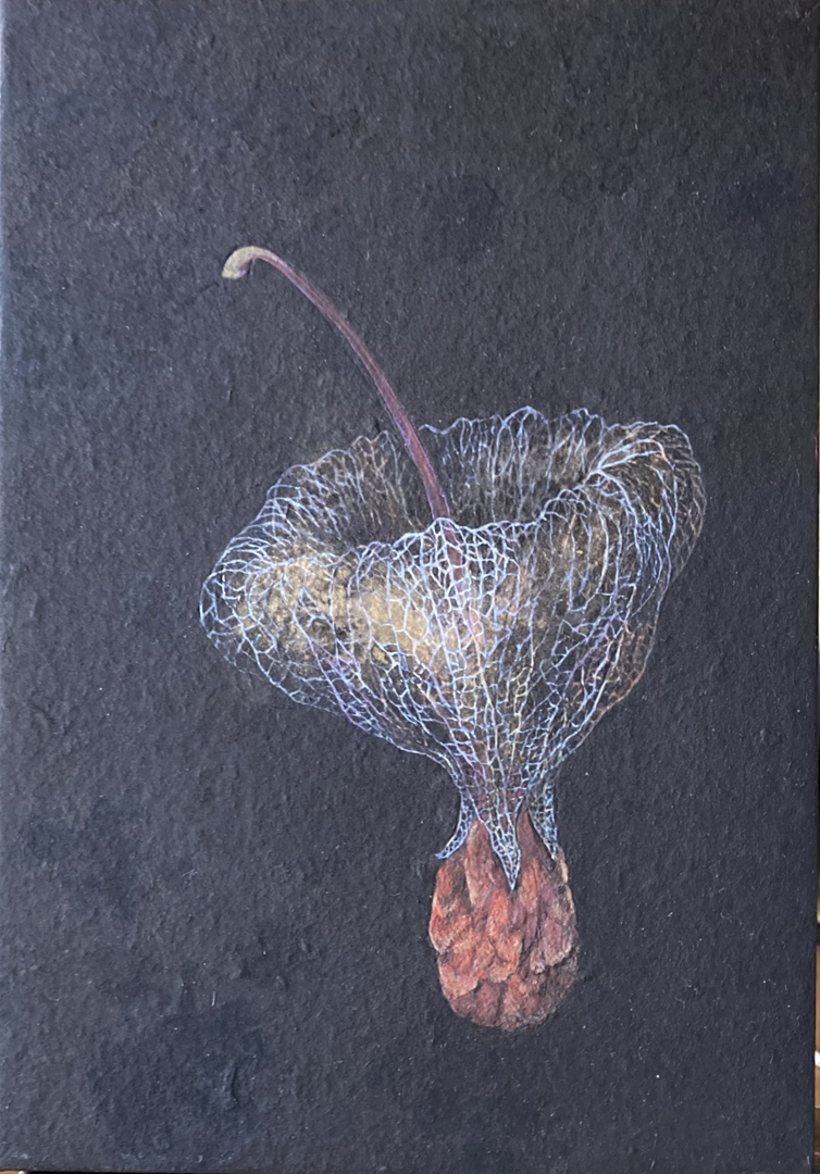 『Amour en cage №2』松澤敬子 SM