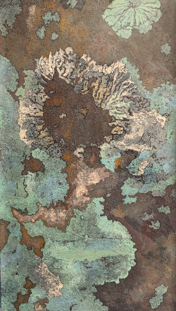 『樹紋♯050』長濱 恭子 M4号