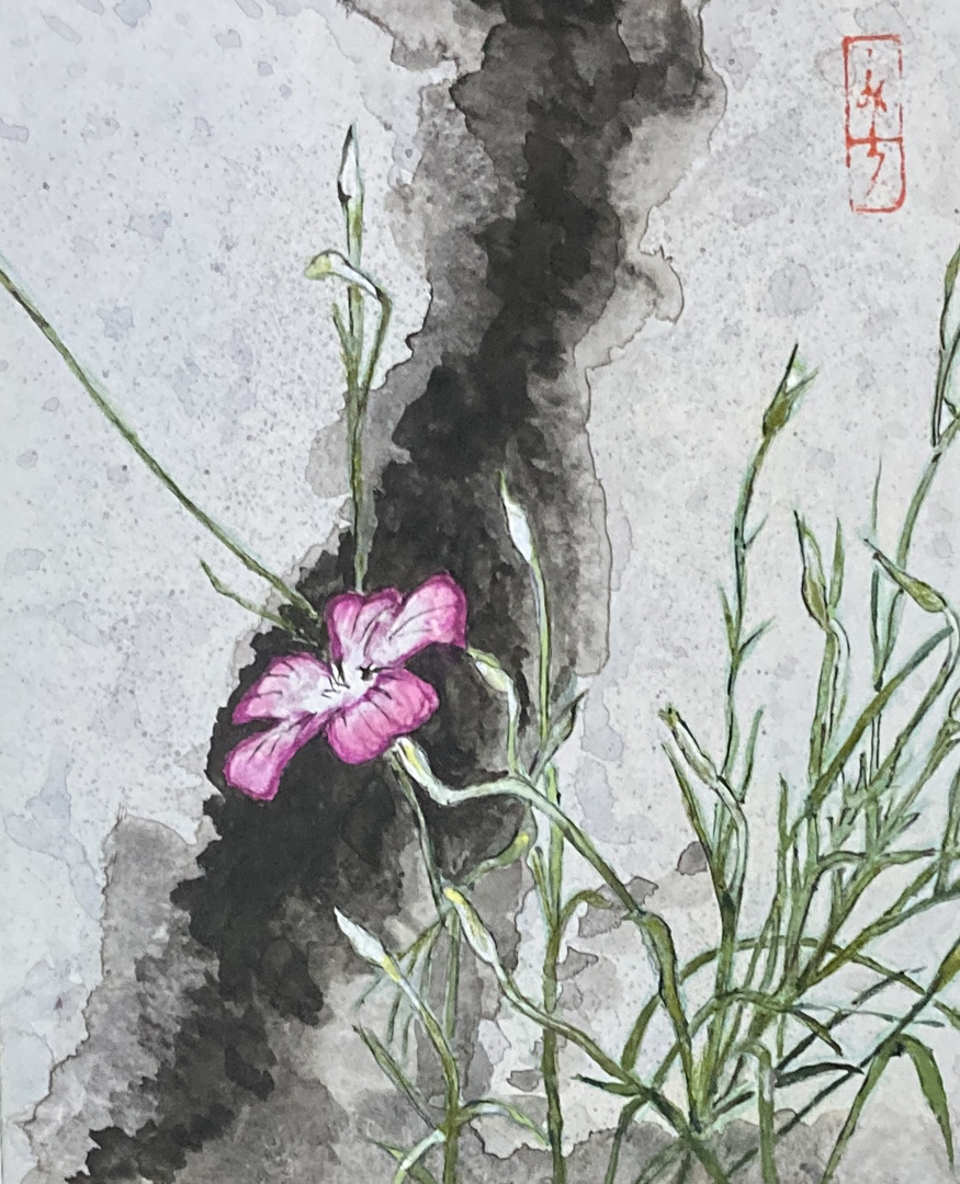 『麦撫子』みち F3